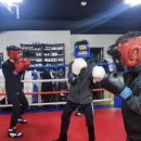 허리케인복싱클럽 이미지