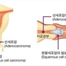 로즈맘산부인과