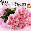 죽공 이미지