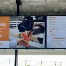 만다리노 이미지