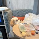 키마스터 | [싱가포르 배달] 그랩 배달로 즐기는 숙소 야식 로이키 치킨라이스, BBQ 마스터, 차지 밀크티 후기