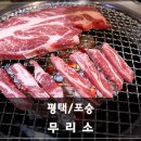 무리소 서평택점 | 포승 맛집:평택 소고기 무한리필 무리소 후기