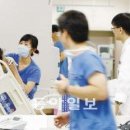 그랜드24시동물병원