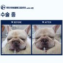 동두천 메디컬 센터 이미지