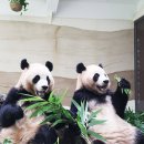 보금자리 이미지