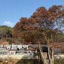 퇴계선생시 | 안동가족여행 추천 안동팸투어 퇴계이황 귀향길 체험