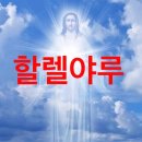 혼술바 자작 | [제주혼술바 자작] 제주 자작 탑동 4호점 혼술바 방문 후기