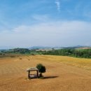 김덕일농장 이미지