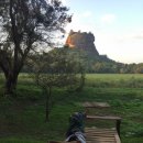 오렌터카 이미지