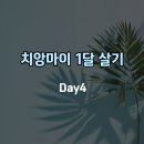 붐토스트 이미지