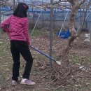 건우 농장 이미지