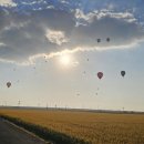 완산행정사사무소 이미지