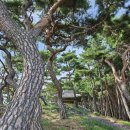 탈해왕릉, 경주 금강산 표암봉 일원/사람은 무엇으로 사는가