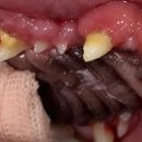 모루 동물의료센터 이미지