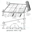 국화삽목 이미지