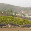 남산농원 이미지