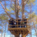 자연아이유치원 이미지