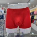 비너스와코루솔브 이미지