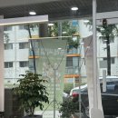 프레씨엘 보령동대동점