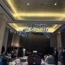신관플라워 | 파라다이스 호텔 부산 신관 오션테라스룸 후기 씨메르 오션풀 수영장