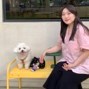 테라스카페153 이미지