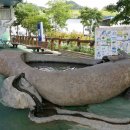 시화문화마을문화관 이미지