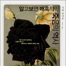 역사문호