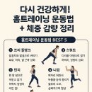 다시건강 이미지