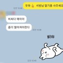 딸기피씨 이미지