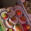 중도매인1호 이미지