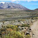 킬리만자로 이미지