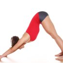 빈야사 & 전신 요가 이미지