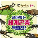 모두의곤충 이미지
