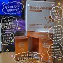 가족 모두 먹는 구강유산균 돌 (DOL) 구강유산균 공동구매 가격 공개