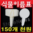 꽃이름 표찰 150개 1천원(?) 이미지