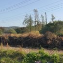 슬기네농장 이미지