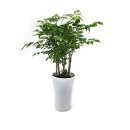 사파동358 이미지