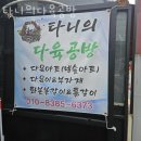 서울 꽃집 추천 타니의다육공방 가격 위치 이벤트