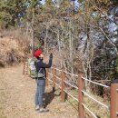 거금휴게소 이미지