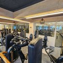 핑크덤벨 이미지