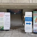 서울특별시 송파구