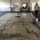 서울대학교 대동물병원 이미지