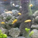 월전마을회관 이미지