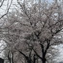 삼동 | (의정부) 장암동 돈까스소바 전문 삼동정식 후기 - 삼동소바