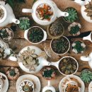 한강유치원 이미지