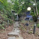 용인 마운틴 캠핑장 C존 두가족 사이트 다녀온 후기!