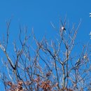 활터어린이공원 이미지