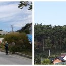 문막자동차공업사 이미지