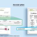 신아담한의원 네이버블로그