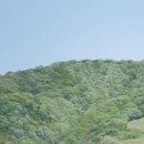 숲속쉼터옆 이미지